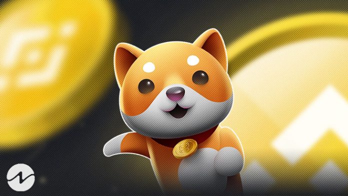 Baby Doge Coin Assumes New Heights