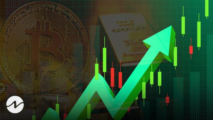 Mike Novogratz Backs Bitcoin and Gold Anticipating Price Surge