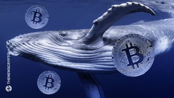 Satoshi Era Dormant Bitcoin Whale Transfers 400 BTC Worth $11 Million