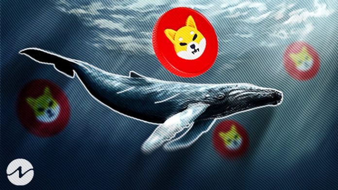 Whale Transfers 3.48 Trillion SHIB Worth $40.2M To Unidentified Wallet